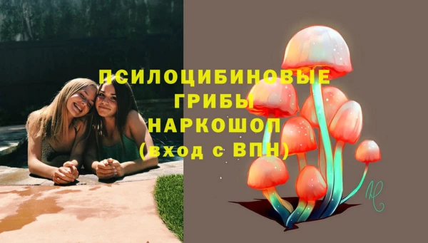 spice Алексин