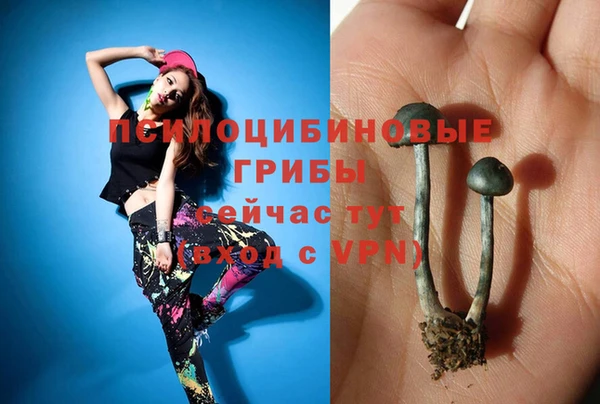 дурь Алексеевка