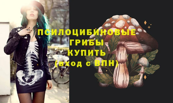 дурь Алексеевка