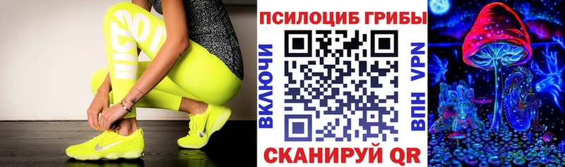 Купить  Тырныауз  Галлюциногенные грибы прущие грибы 